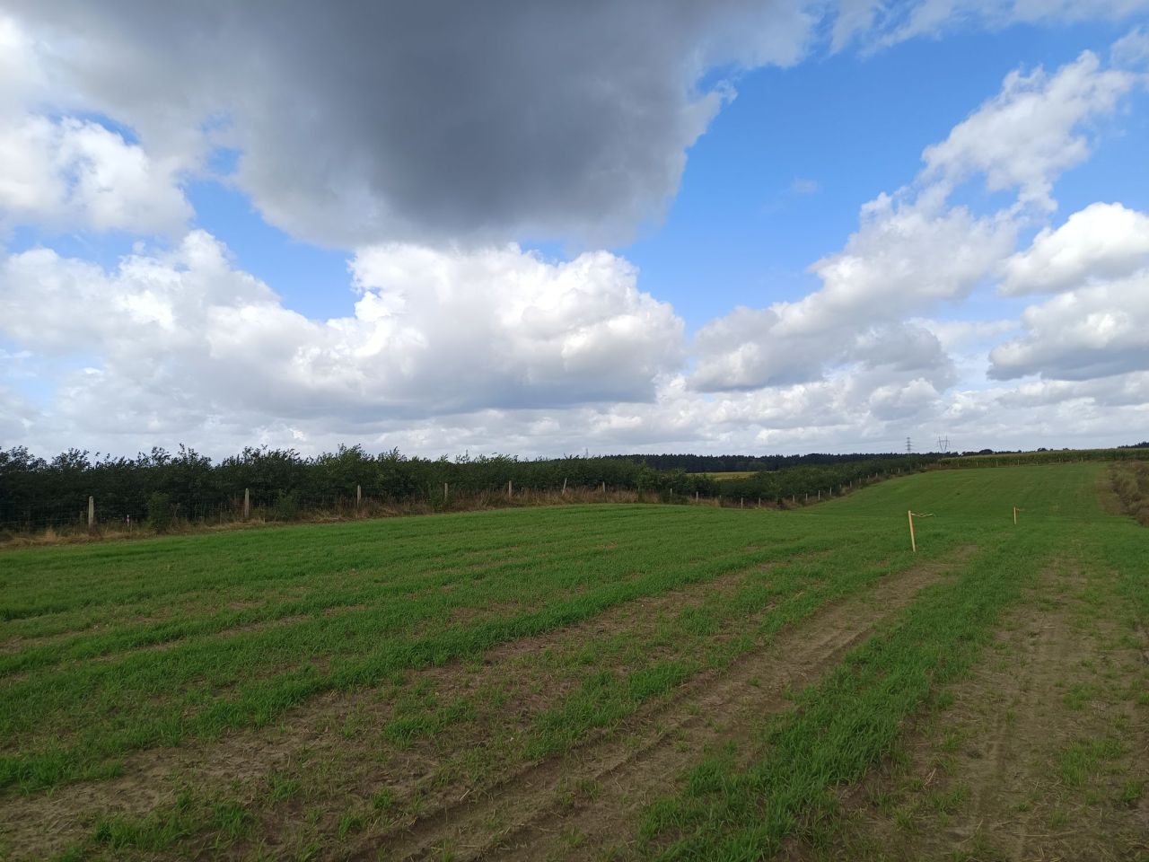Działka budowlana Równopole. Zdjęcie 1