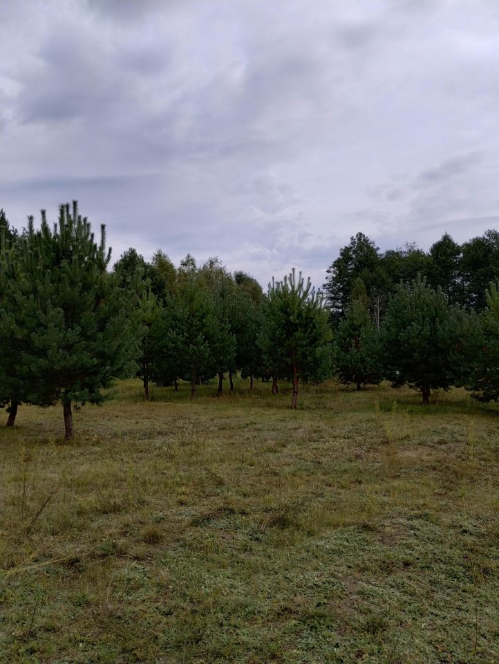 Działka budowlana Adamowo. Zdjęcie 10