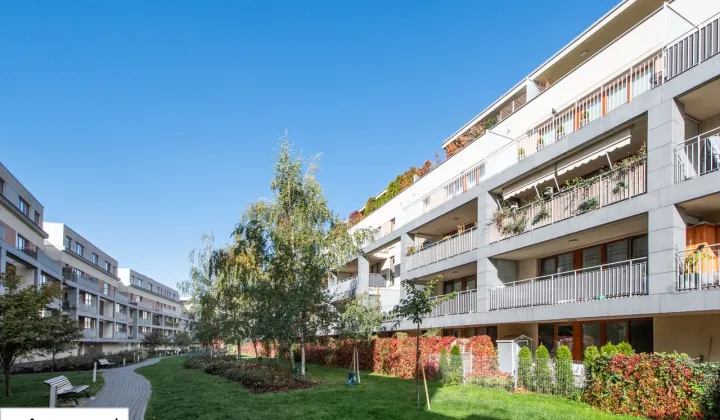 Mieszkanie 3-pokojowe Warszawa Wilanów, ul. Księdza Prymasa Augusta Hlonda