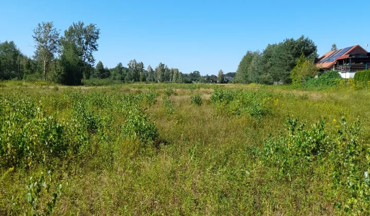 Działka budowlana Kołaków