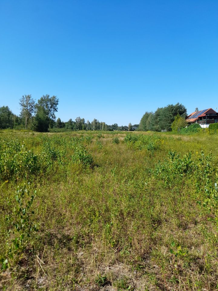 Działka budowlana Kołaków