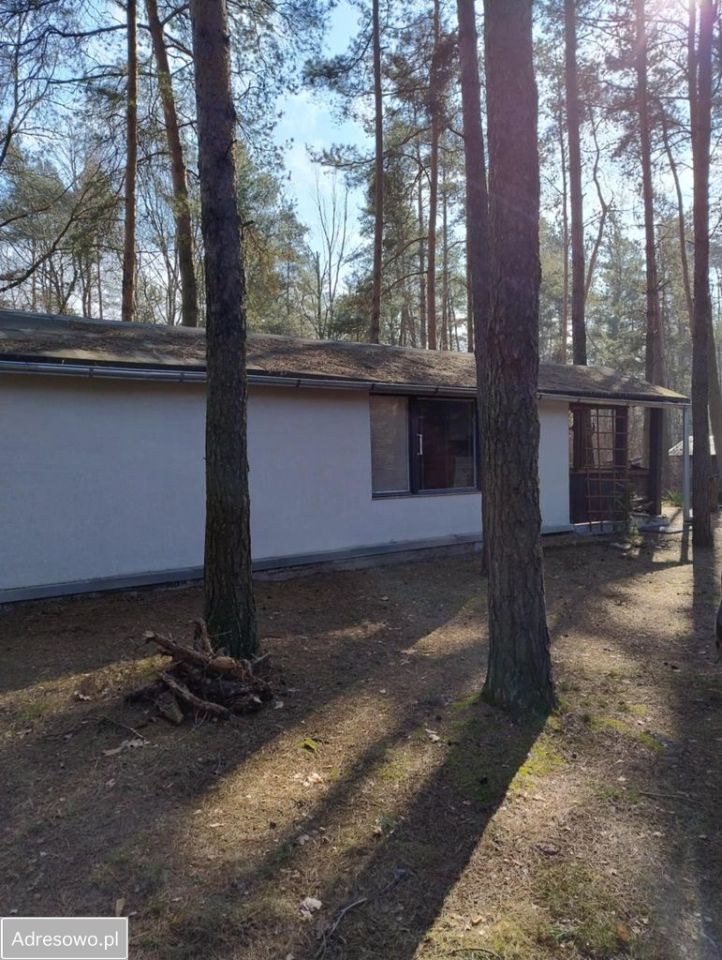 Działka rekreacyjna Franciszków. Zdjęcie 2