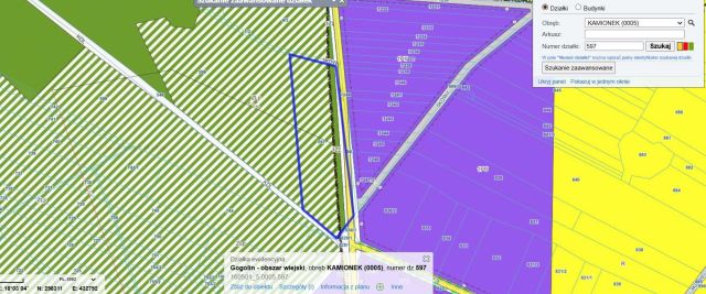 Działka leśna Kamień Śląski. Zdjęcie 1