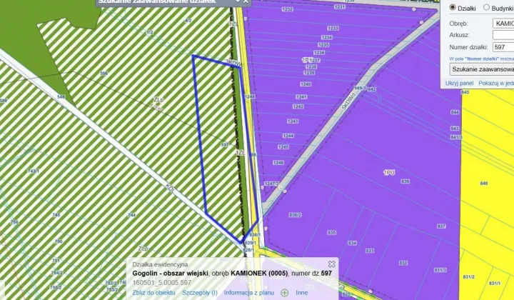 Działka leśna Kamień Śląski