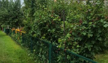 Działka rod Rybnik Maroko-Nowiny, ul. Franciszka Pilarczyka