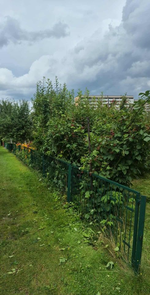 Działka rod Rybnik Maroko-Nowiny, ul. Franciszka Pilarczyka. Zdjęcie 2