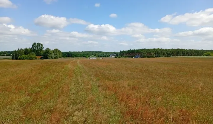 Działka budowlana Gołaszewo