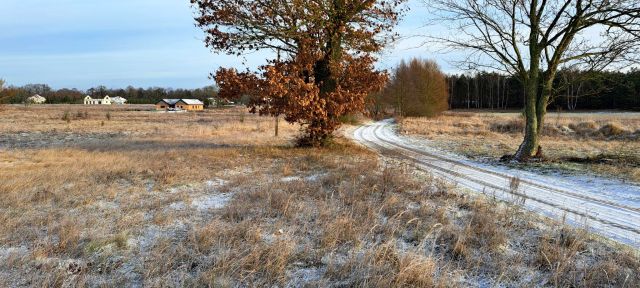 Działka rolno-budowlana Łęgi, ul. Na Świdwie. Zdjęcie 1