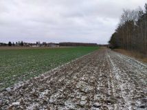 Działka budowlana Gołąbek, ul. Leśna. Zdjęcie 2