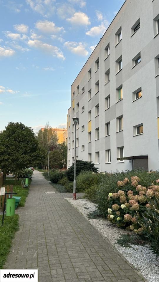 Mieszkanie 4-pokojowe Zielona Góra Centrum, ul. Francuska. Zdjęcie 18