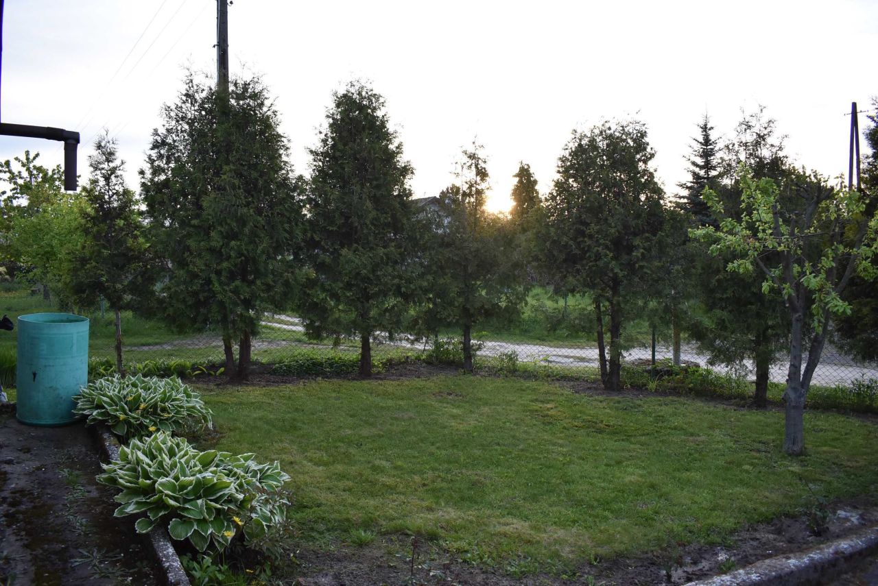 Działka rod Gniezno, ul. Powstańców Wlkp.. Zdjęcie 7