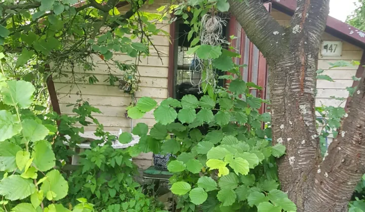 Działka rod Wieliczka Lekarka, ul. Czarnochowska