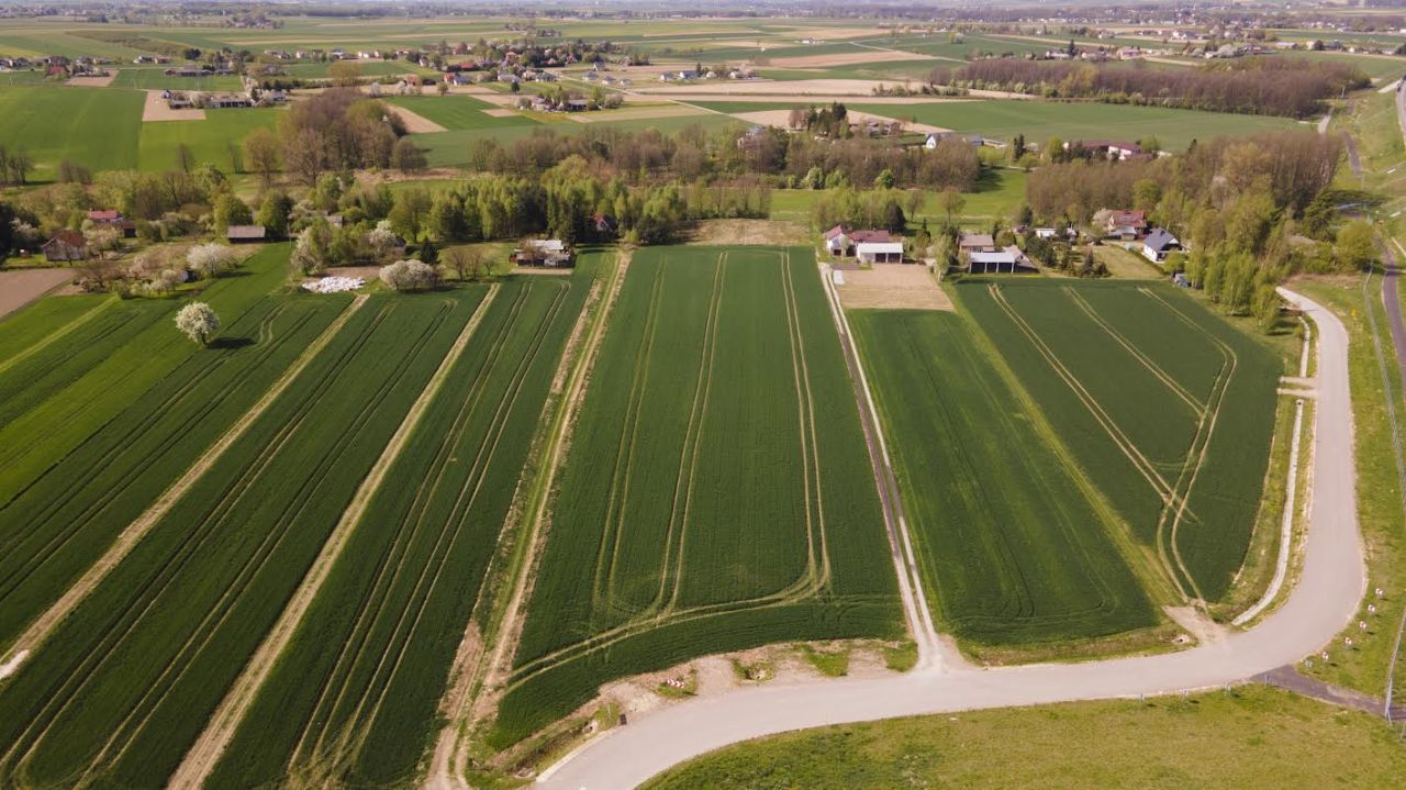 Działka budowlana Niedrzwica Duża Niedrzwica Duża Pierwsza, ul. Krzywa. Zdjęcie 3
