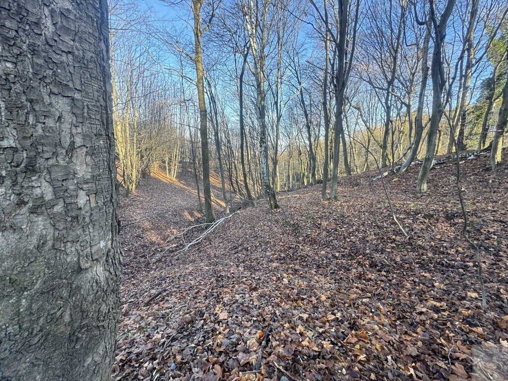 Działka leśna Przemyśl Kruhel Wielki, ul. Łowiecka. Zdjęcie 11