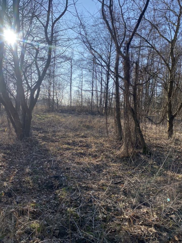 Działka budowlana Drogoszowice. Zdjęcie 7