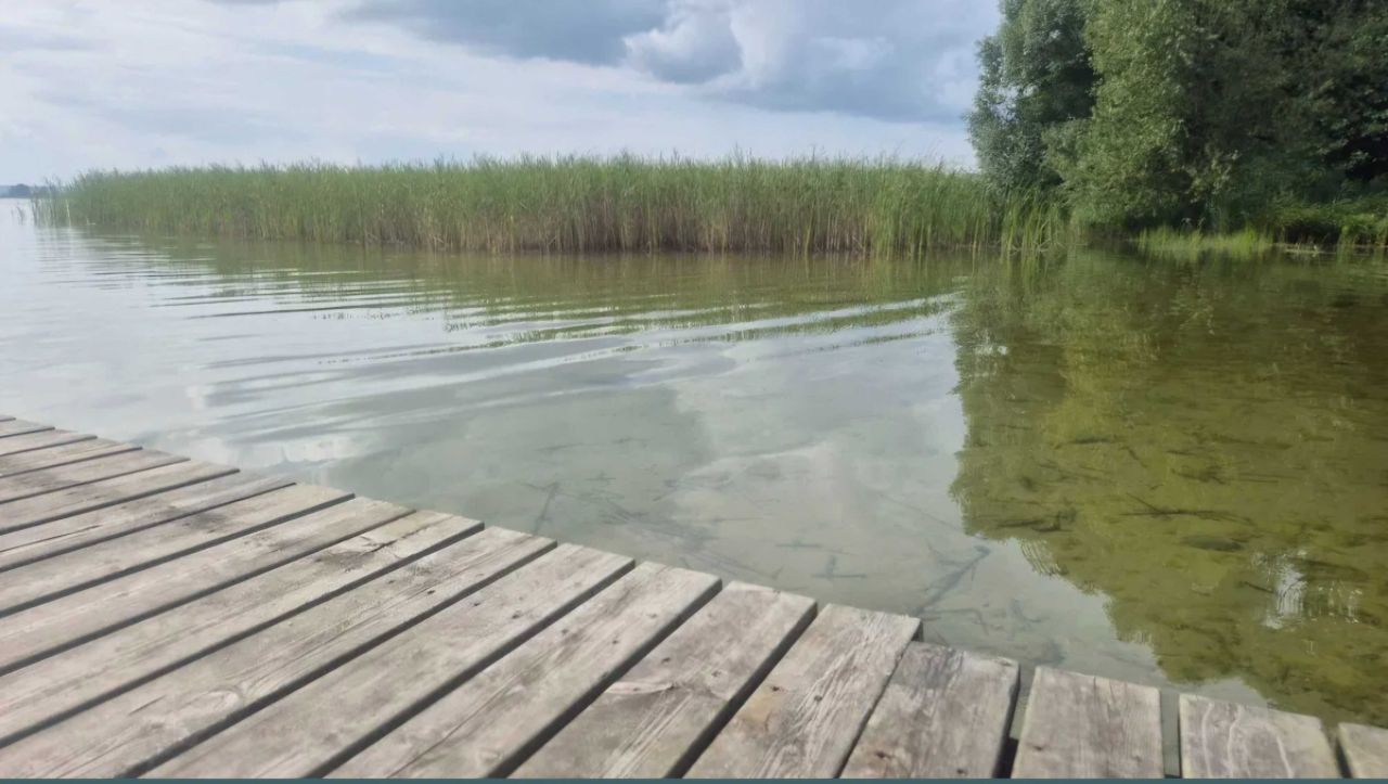 Działka rolna Koszewo. Zdjęcie 7