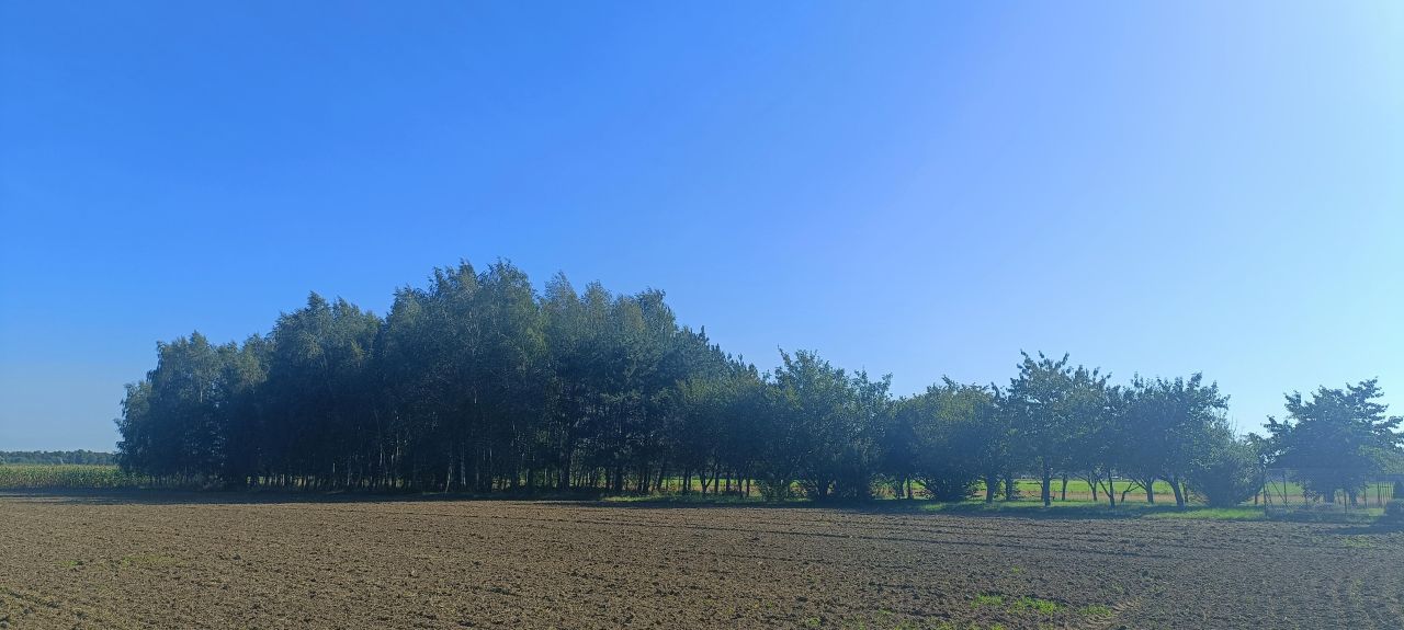 dom wolnostojący, 5 pokoi Świątkowice. Zdjęcie 9