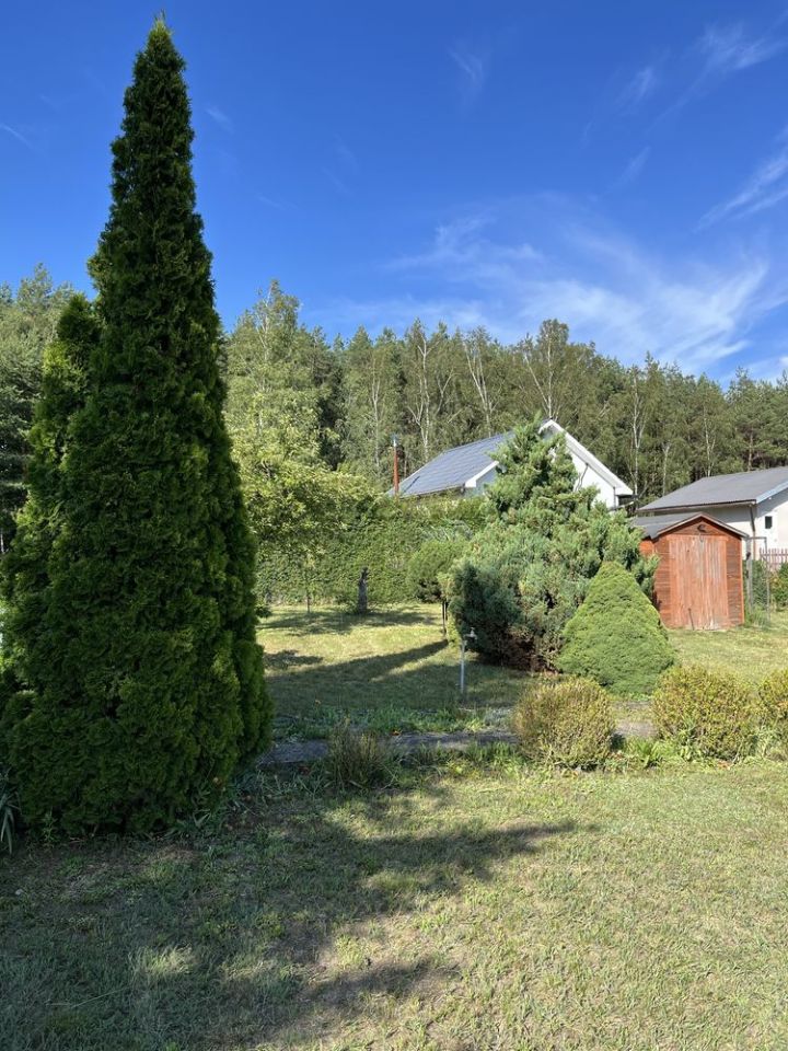 Działka rod Polkowice, ul. Działkowa. Zdjęcie 6