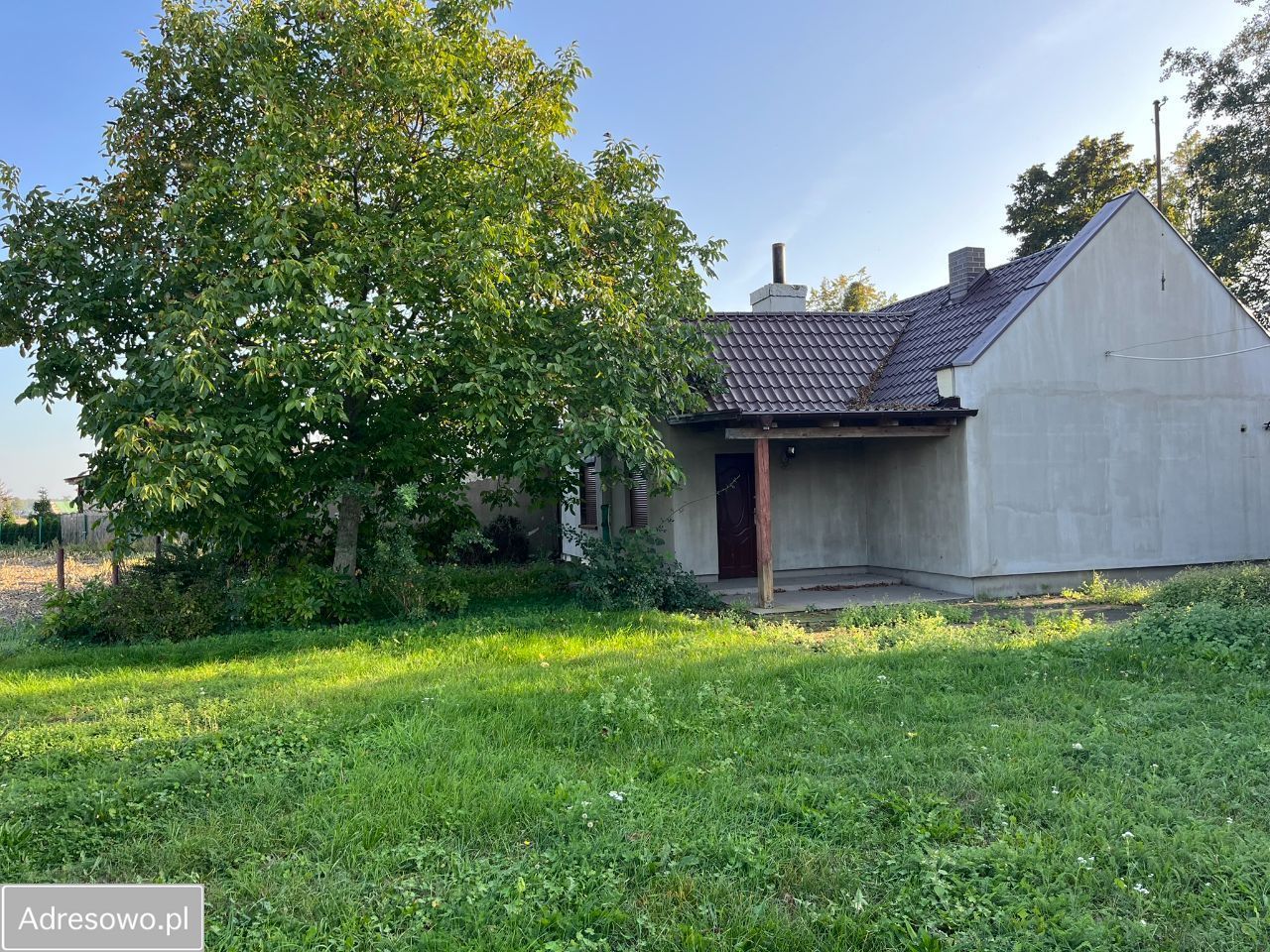 dom wolnostojący, 2 pokoje Skoraszewice. Zdjęcie 1