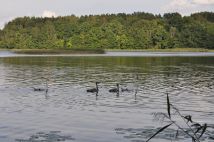 Działka rekreacyjna Kamionka. Zdjęcie 2