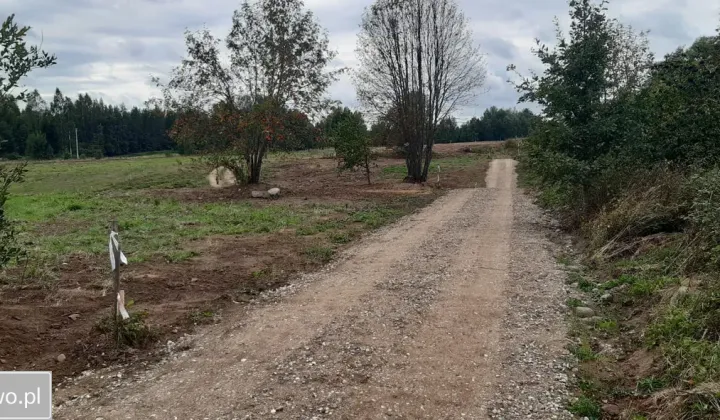 Działka budowlana Filipów Drugi