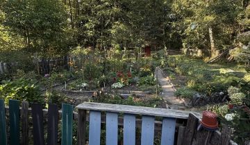 Działka budowlana Orońsko, ul. Rzeczna