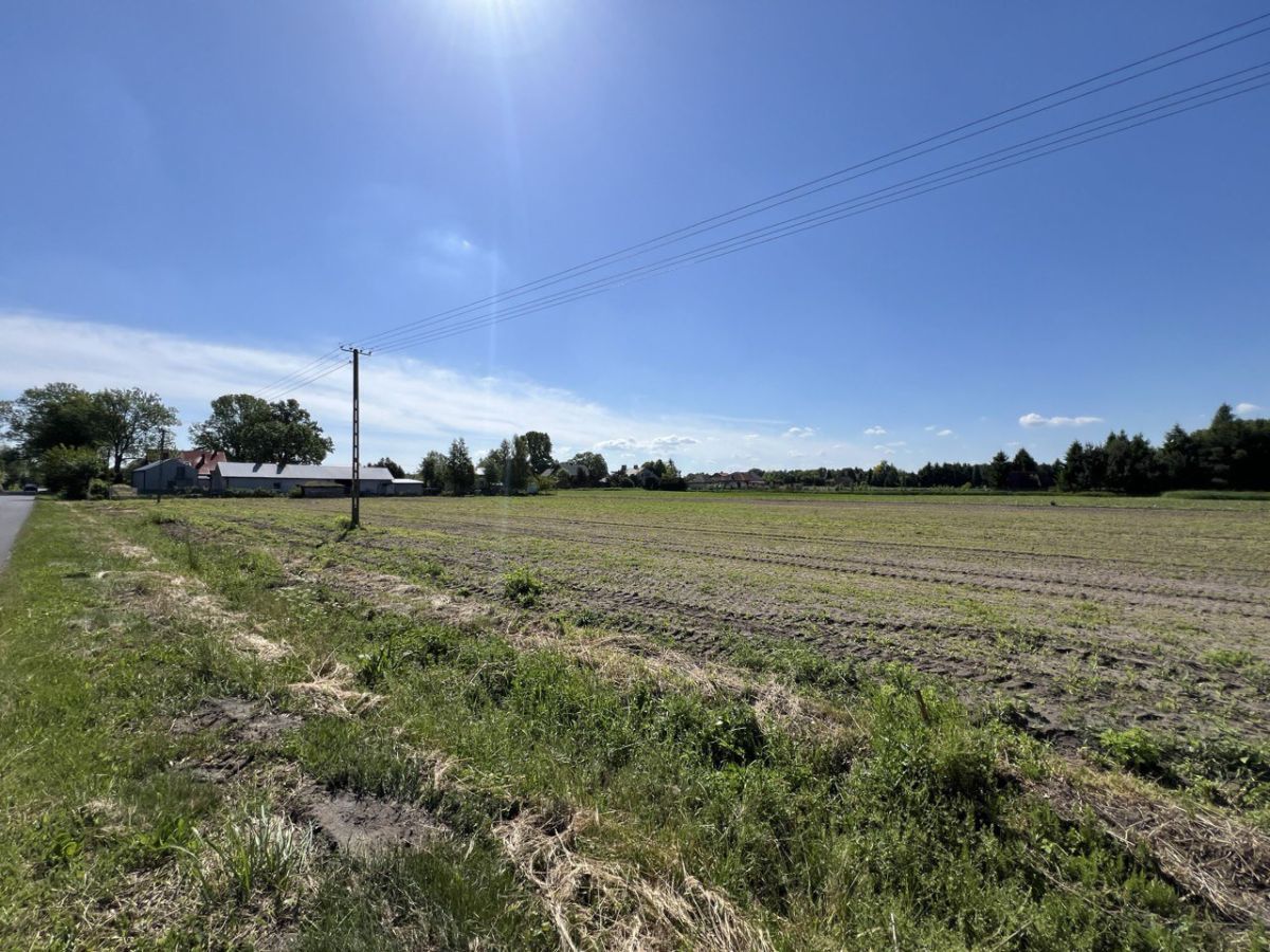 Działka budowlana Lubiejew. Zdjęcie 2