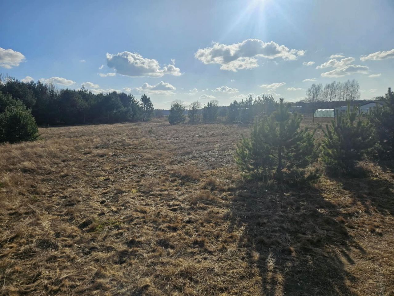 Działka budowlana Paruszka. Zdjęcie 5