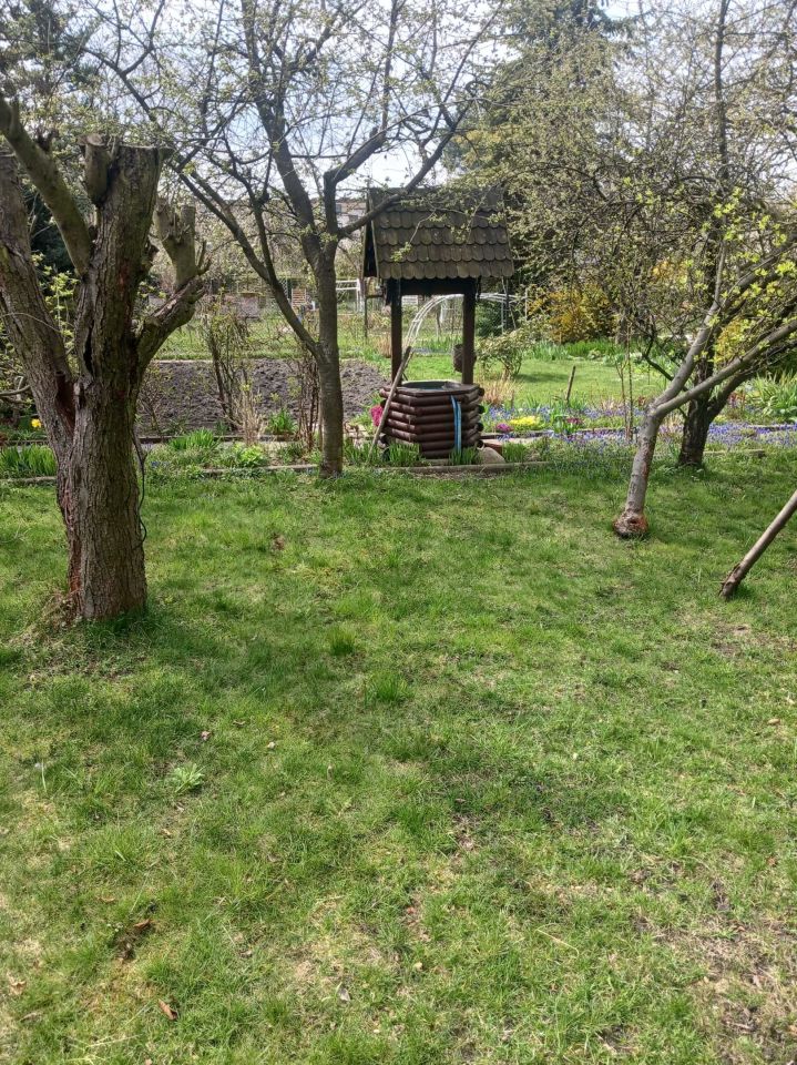 Działka rod Gliwice Szobiszowice. Zdjęcie 4