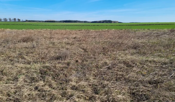 Działka budowlana Osie, ul. Wybudowanie pod Nowe