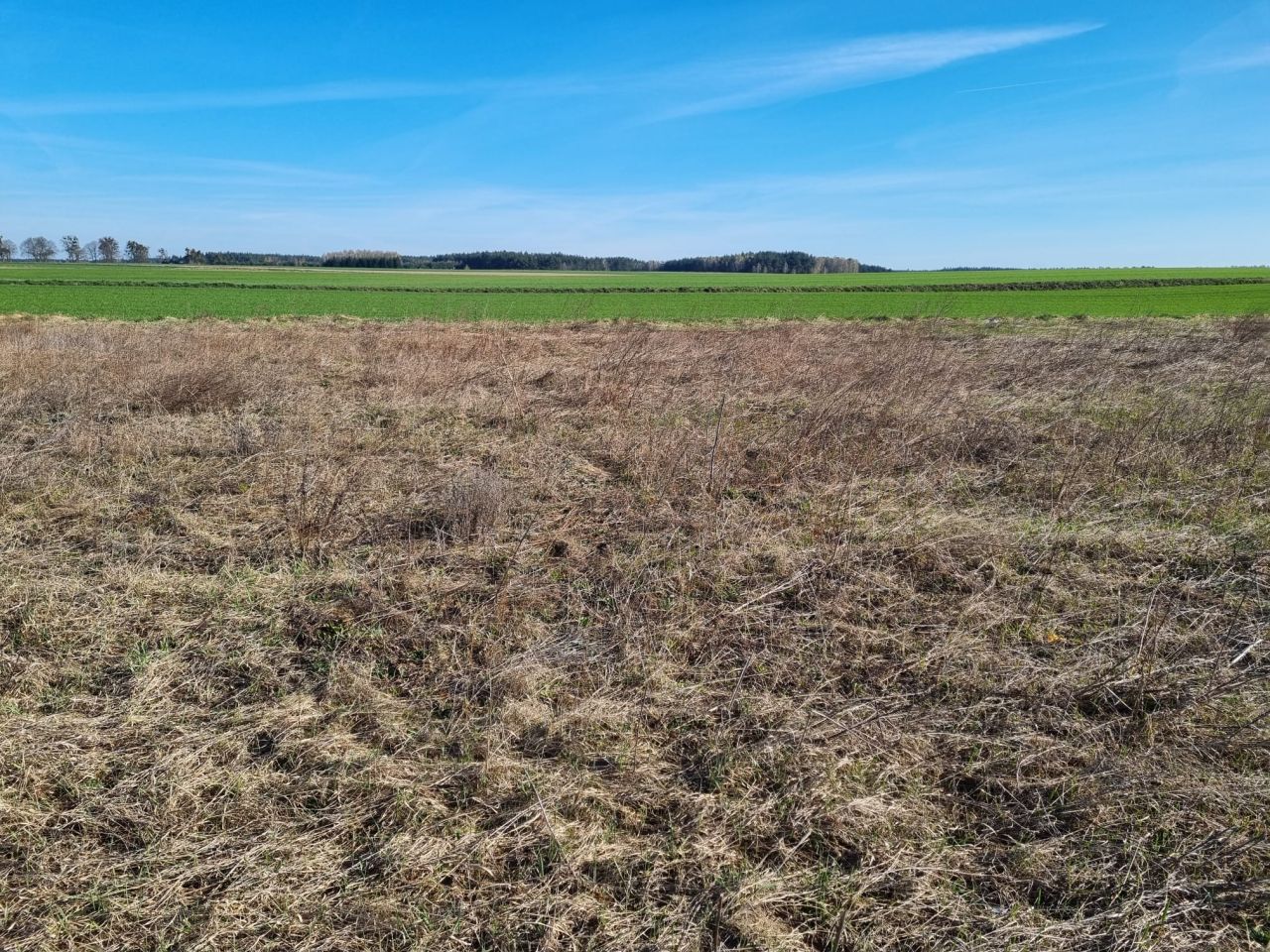 Działka budowlana Osie, ul. Wybudowanie pod Nowe. Zdjęcie 1