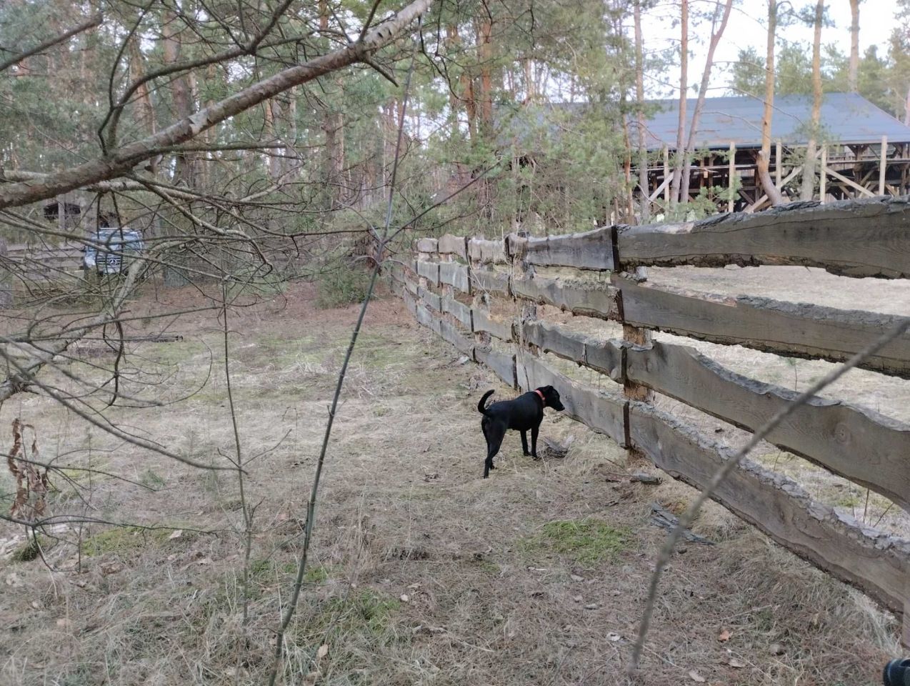 Działka rekreacyjna Wólka Nadbużna. Zdjęcie 6