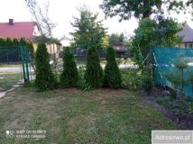 bliźniak, 3 pokoje Łówcza. Zdjęcie 3