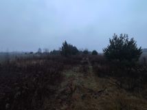 Działka rolna Wola Korybutowa Pierwsza. Zdjęcie 4