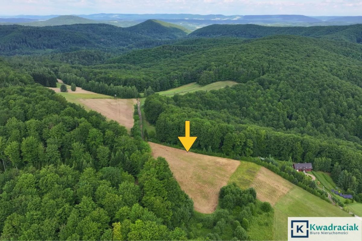 Działka siedliskowa Myczków. Zdjęcie 4