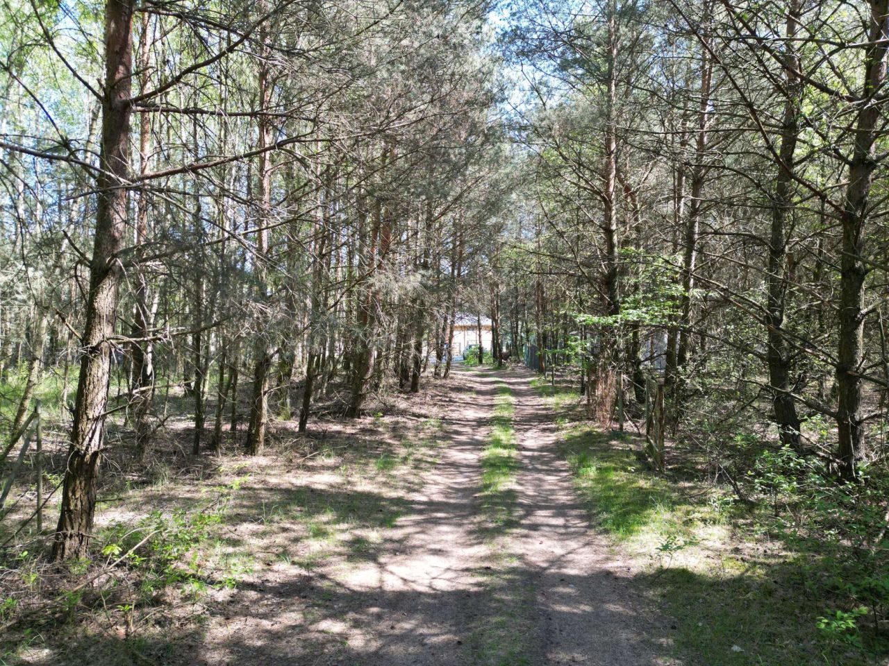 Działka budowlana Stęszewko, ul. Wiejska. Zdjęcie 15