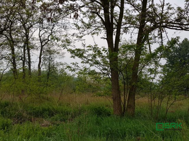 Działka Gliwice, ul. Nadbrzeżna. Zdjęcie 2