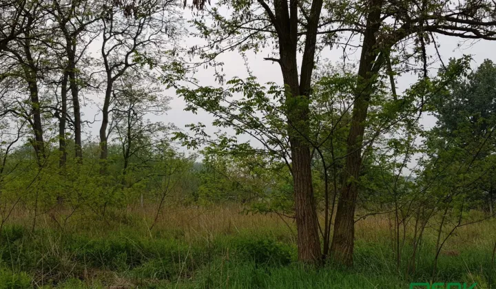 Działka inna Gliwice Sośnica, ul. Nadbrzeżna