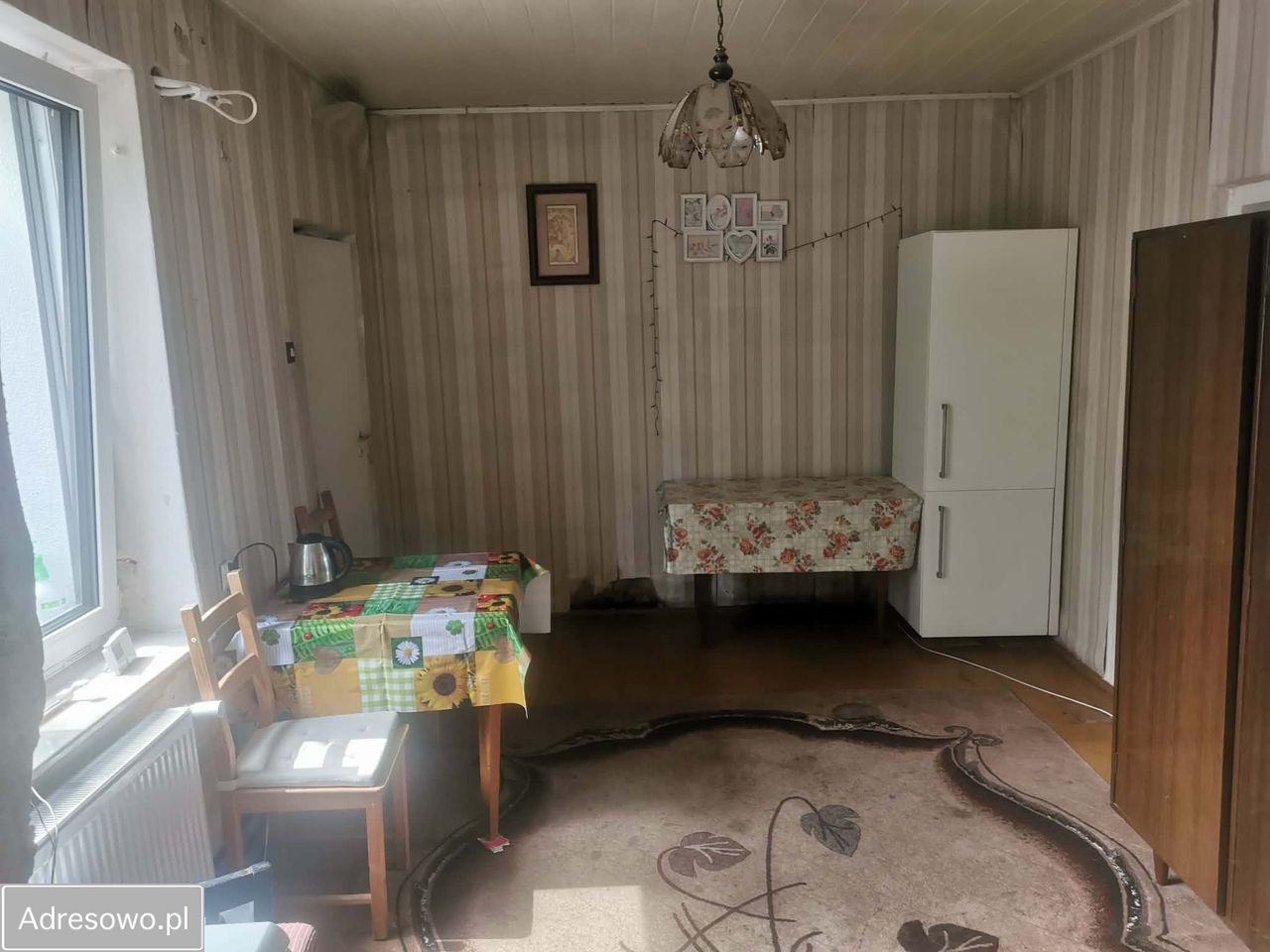 Działka siedliskowa Ogrodniki. Zdjęcie 3