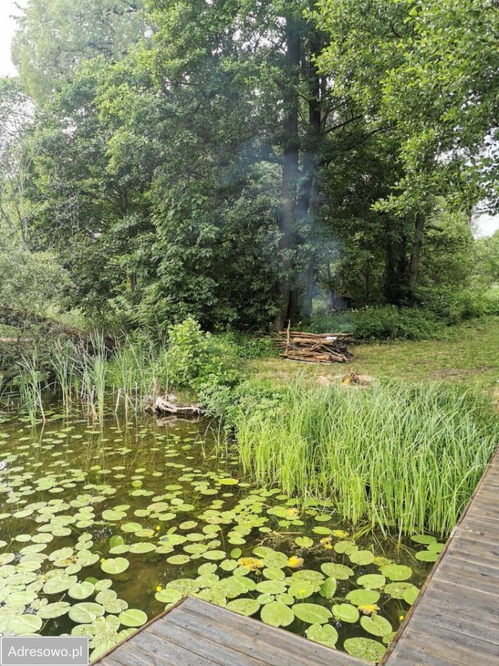 siedlisko, 3 pokoje Krzywe. Zdjęcie 18