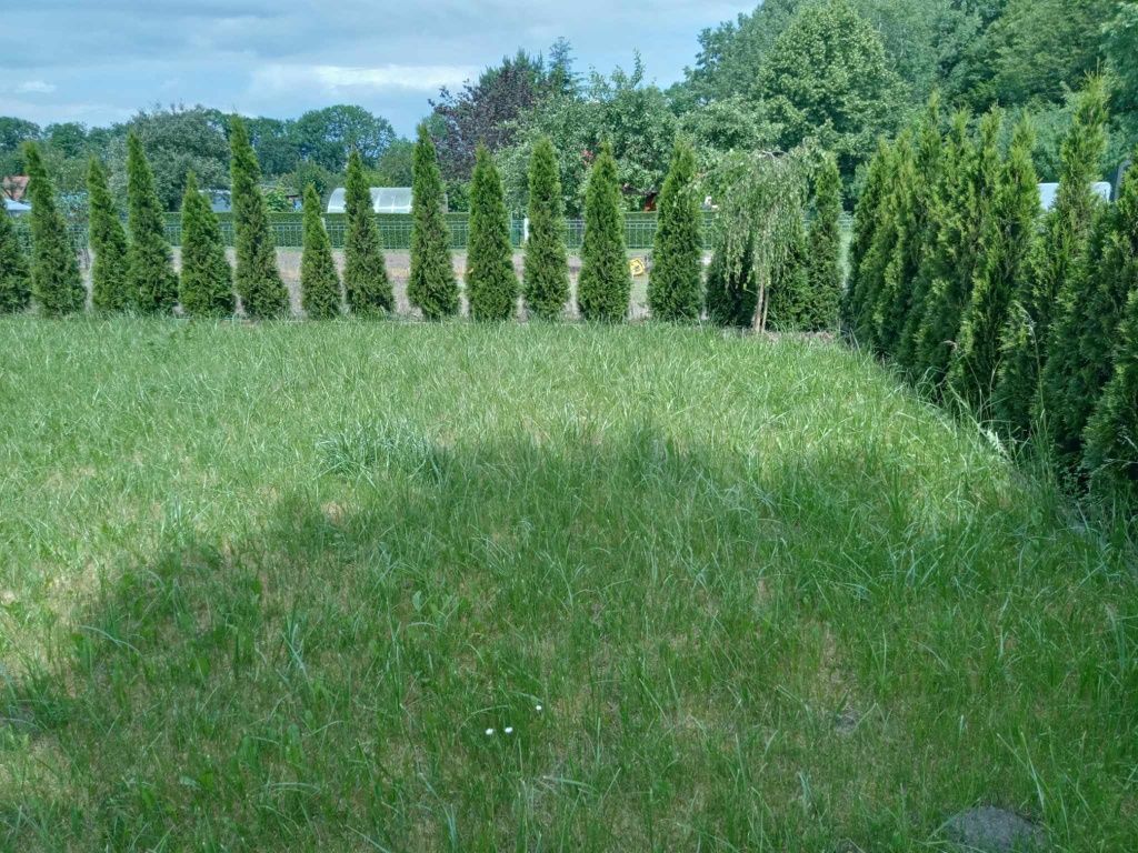 Działka rod Moszczenica, ul. Spacerowa. Zdjęcie 5