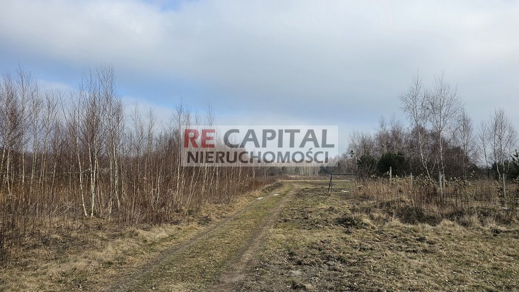 Działka siedliskowa Lipków. Zdjęcie 4