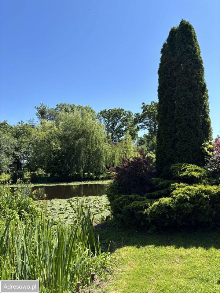 dom wolnostojący, 4 pokoje Dębe, ul. Obornicka. Zdjęcie 7