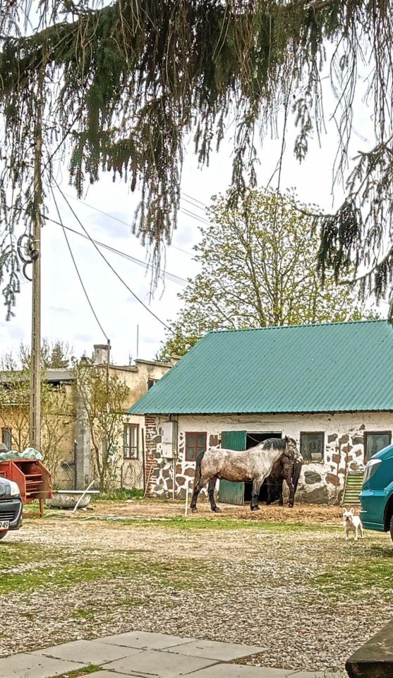 siedlisko, 3 pokoje Lindów Huta Piekarska, ul. Krótka. Zdjęcie 5