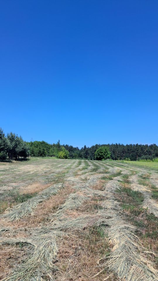 Działka budowlana Łaszczówka-Kolonia, ul. Przemysłowa. Zdjęcie 4