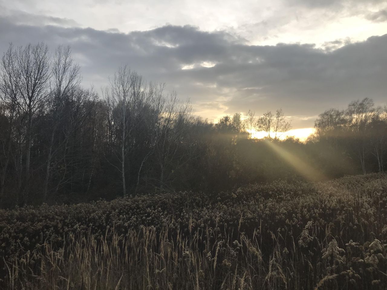 Działka budowlana Stary Pożóg. Zdjęcie 6