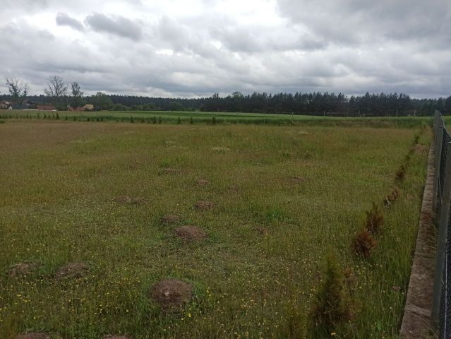 Działka budowlana Leśniewo, ul. Leśne Ogrody. Zdjęcie 1