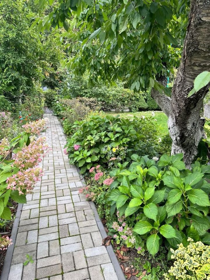 Działka rod Kulów. Zdjęcie 8