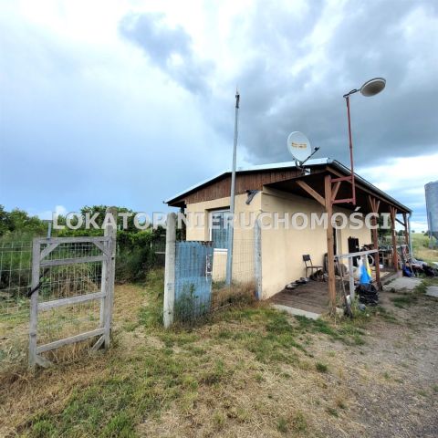 Hala/magazyn Rutwica. Zdjęcie 12