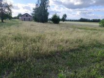 Działka budowlana Czyżeminek. Zdjęcie 2